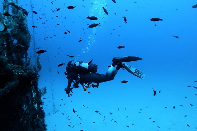 2 Scuba Fun Dives for Certified divers in St Paul's Bay - Why St Paul’s Bay can suit certified swimmers