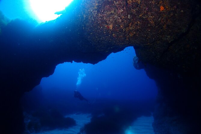2 Scuba Fun Dives for Certified divers in St Paul's Bay - Guides who adjust rather than rush
