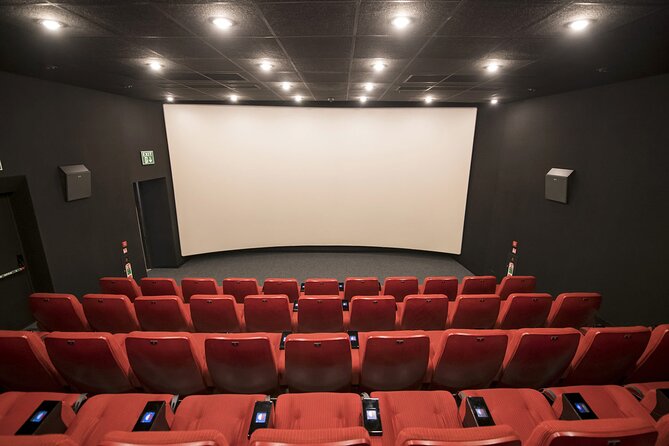 30-Minute Mdina Experience Audio-Visual Show Ticket (Open Ticket) - Who will get the most from this show