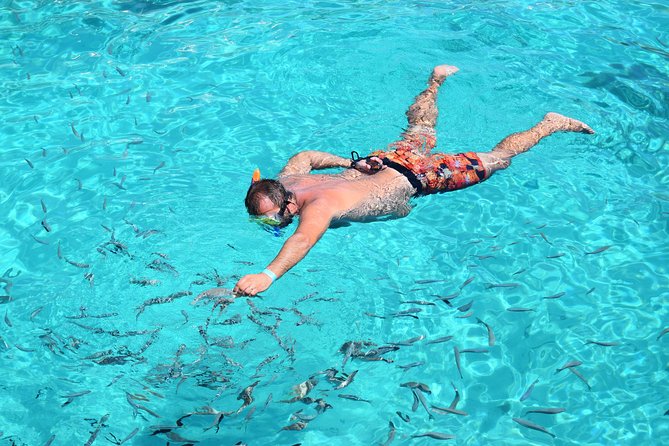 Blue Lagoon, Beaches and Bays Catamaran Sailing Tour - What the catamaran is like once aboard