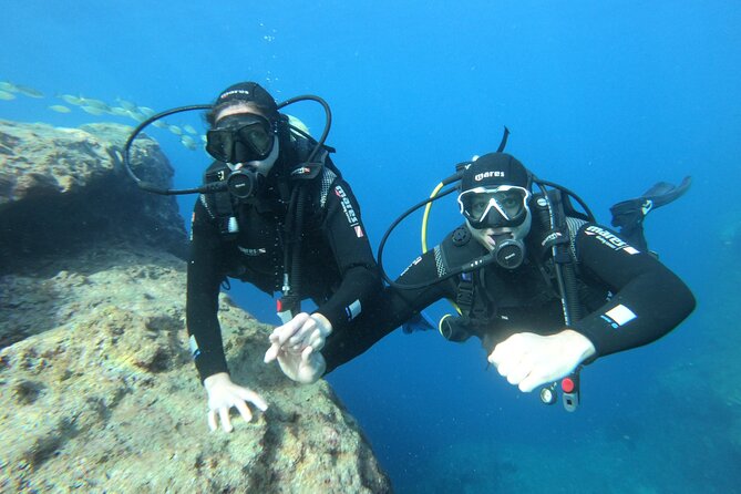 Diving experience in Malta - Who should book this first-time scuba session?