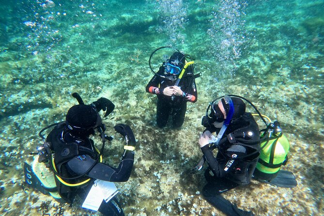 Diving experience in Malta - Getting from Ramla Bay Resort to Cirkewwa