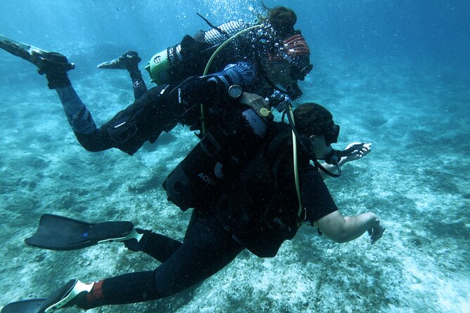 First Experience Scuba Diving - Learning the basics before entering the sea