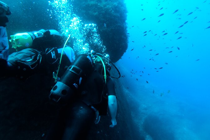 First Experience Scuba Diving - Meeting at Diveshack20 in Sliema