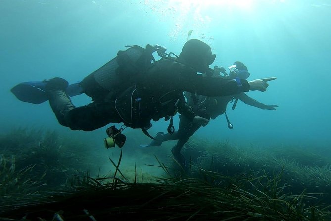 First scuba diving experience with instructor - Malta - What the three-hour Malta session is really like