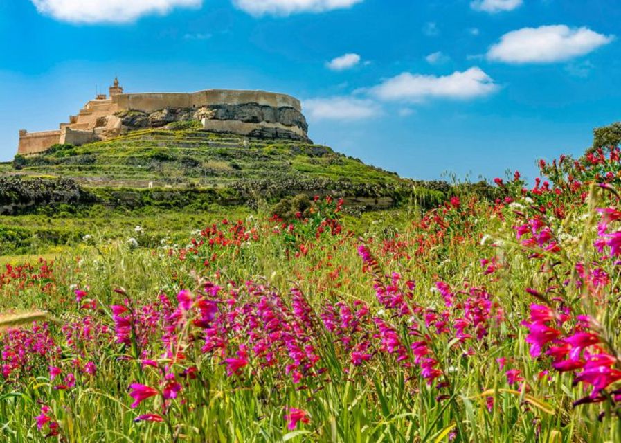 From Malta: Gozo Full-Day Tour with Guide, Temples, & Train - What this Gozo day trip is really like