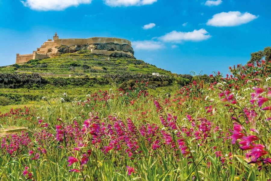 From Sliema: Gozo, Comino & The Blue Lagoon Boat & Bus Tour - Comino and the Blue Lagoon: beautiful, busy, and regulated