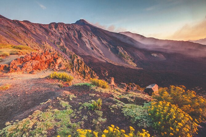 Full Day Sicily Tour from Malta. Visit Mt Etna and Syracuse - Key points to know before booking
