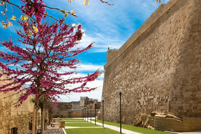 Gozo & Comino Islands, Blue Lagoon & Seacaves Tour - Crystal Lagoon and the short cave visit