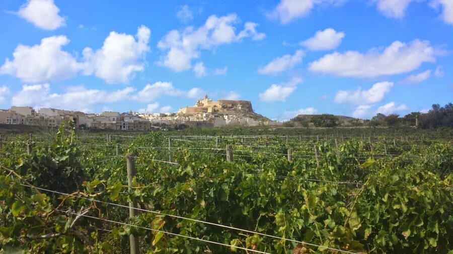 Gozo Victoria Walking Tour - Why Victoria is worth seeing on foot