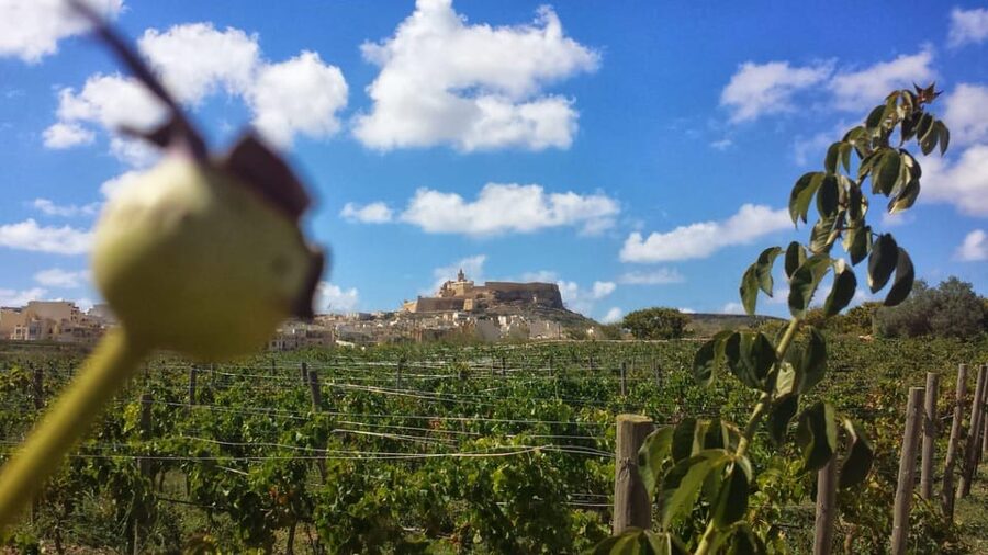 Gozo Victoria Walking Tour - Reaching the Cittadella after 45 minutes of guided time