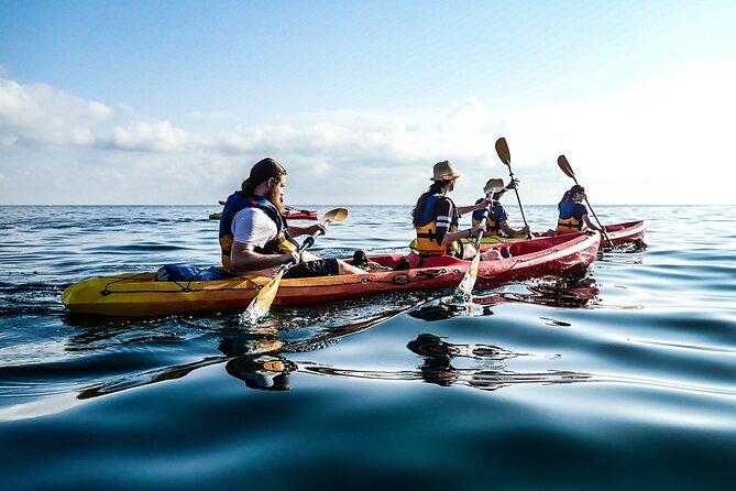 Guided Kayak Tour in St Paul's Island - How hard is the 2.5-hour outing?