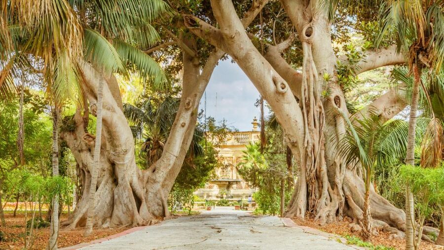 Highlights of Malta Tour:Icons and Experiences of the Island - Key points at a glance