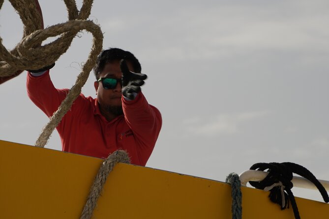 Highspeed Catamaran Crossing Between Malta and Gozo - Booking, check-in, and timing advice