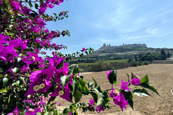 Island Day Tour with a Private Local Driver - Rabat’s Roman remains and underground catacombs