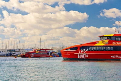 2-Day Hop-On Hop-Off Bus & Harbour Cruise (CMO)