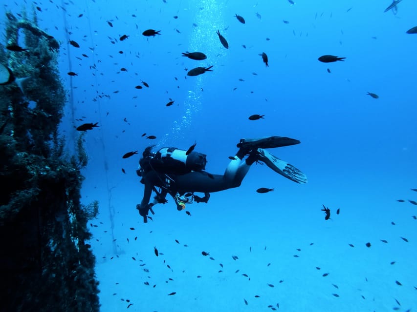 Malta: 2 Scuba Fun Dives for Certified divers - Two Malta scuba sessions in one half-day