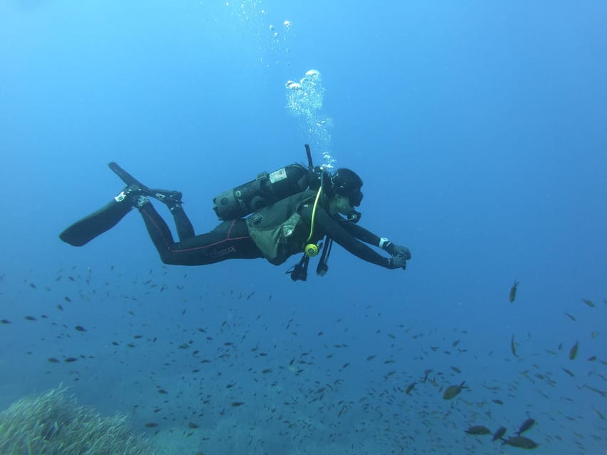 Malta: 2 Scuba Fun Dives for Certified divers - Health rules you should take seriously