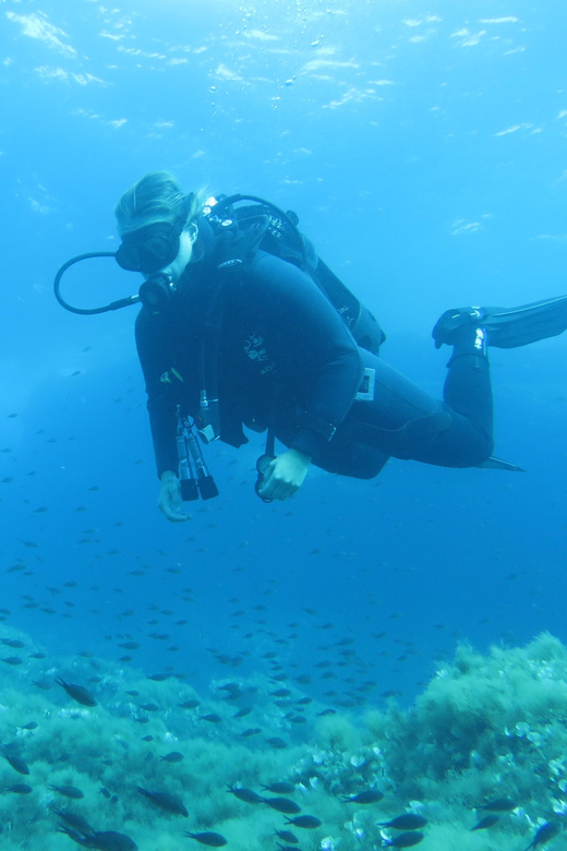 Malta: 2 Scuba Fun Dives for Certified divers - Should you book these two Malta scuba sessions?