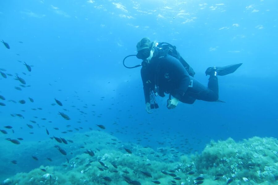 Malta: 2 Scuba Fun Dives for Certified divers - What the first 45-minute session can offer