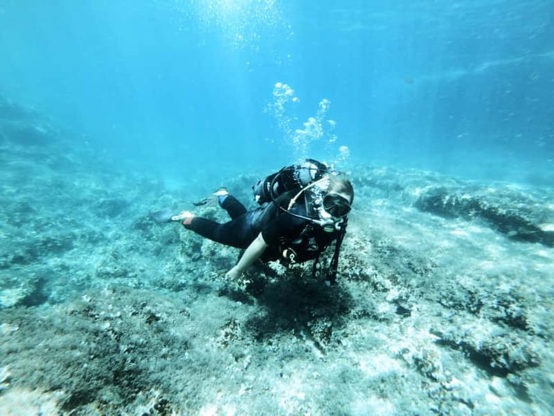 Malta: First Experience Scuba Diving Lesson - Complete the online theory before you arrive