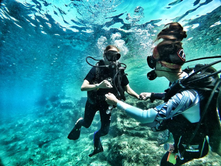 Malta: First Experience Scuba Diving Lesson - Second shore session: more time to look around