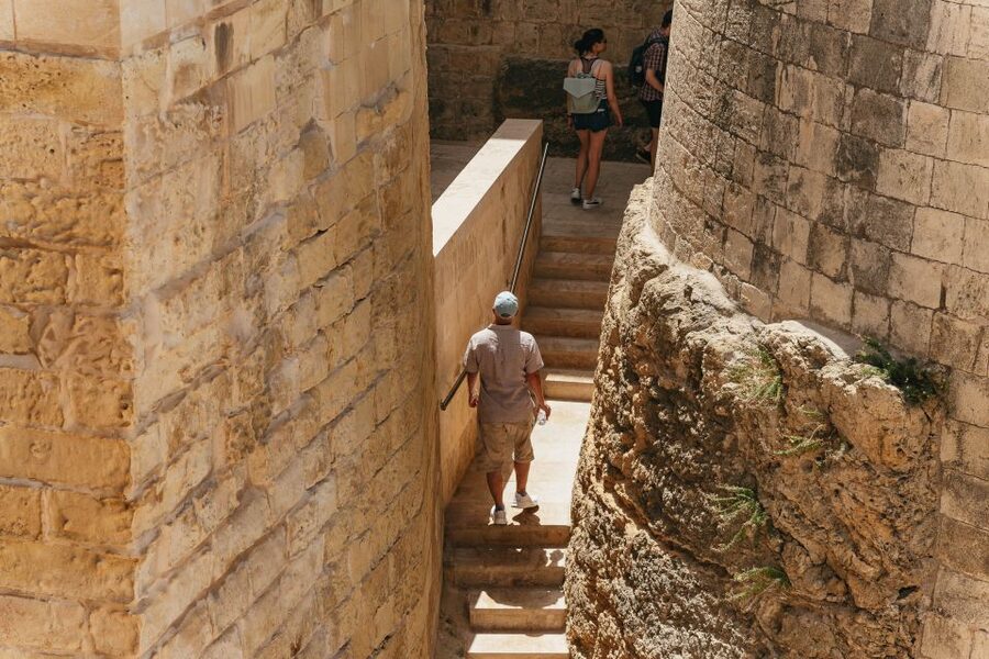 Malta: Gozo & Comino Islands, Blue Lagoon & Seacaves Tour - Who should book this boat trip?