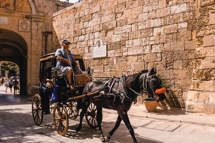 Malta: Highlights of Malta & Mdina Full Day Tour with Lunch - San Anton Gardens and Malta’s presidential residence