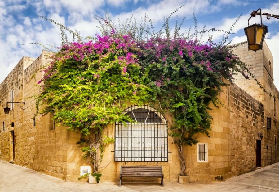 Malta: Mdina, Dingli Cliffs and San Anton Botanical Gardens - Is $41 good value?