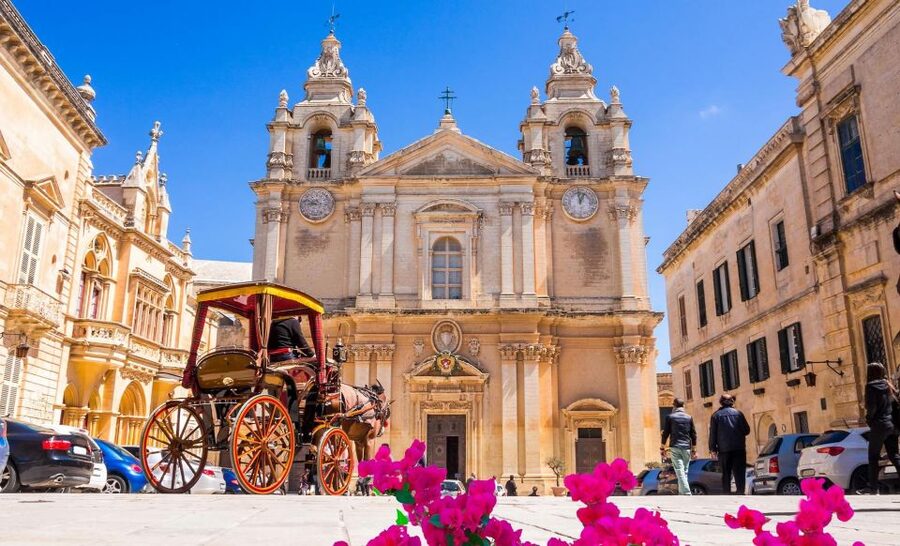 Malta: Mdina, Dingli Cliffs and San Anton Botanical Gardens - Who will enjoy this tour most?