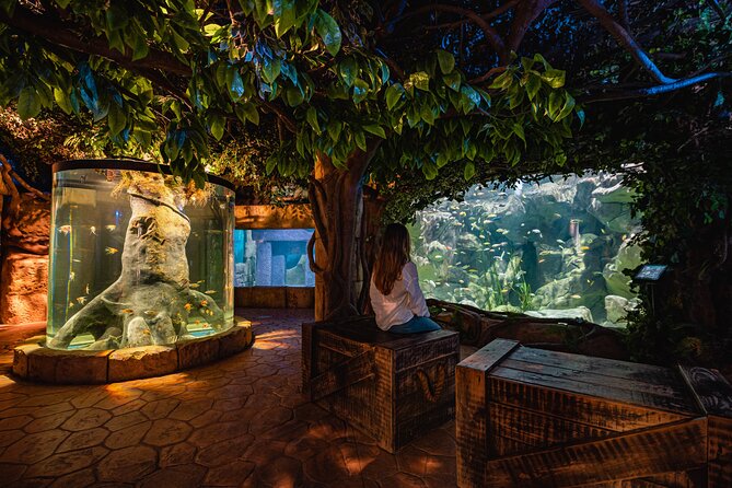 Malta National Aquarium Entrance Ticket - The main tank and its glass tunnel