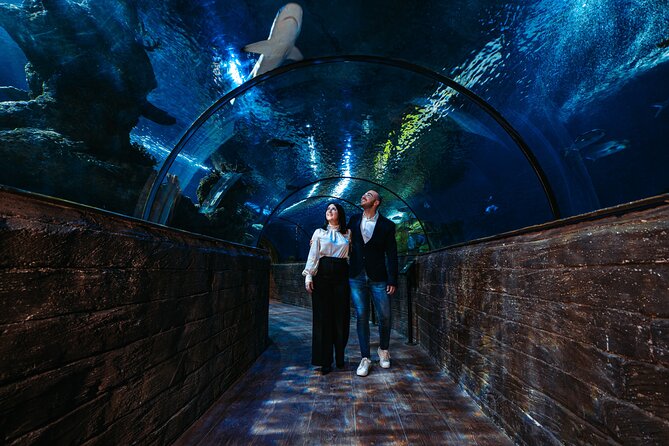 Malta National Aquarium Entrance Ticket - The building and the views outside