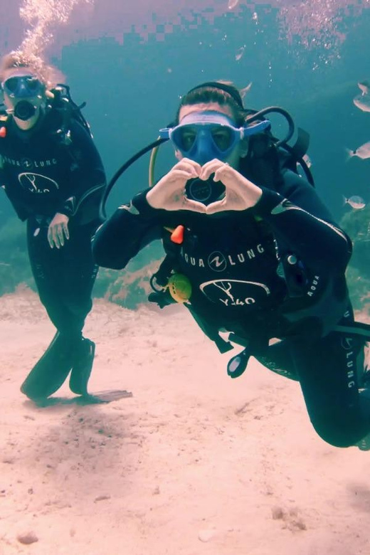 Malta, Scuba diving with instructor - A first look beneath Malta’s surface