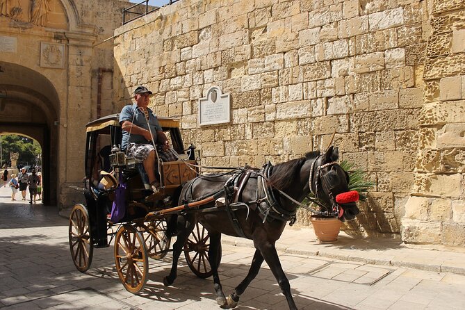 Malta Tour the Unveiling Island Treasures - Dingli Cliffs and Malta’s open western edge