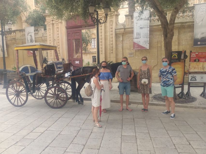 Mdina and Rabat Private Walking Tour with local pastizzi - Mdina’s bastions and wide island views
