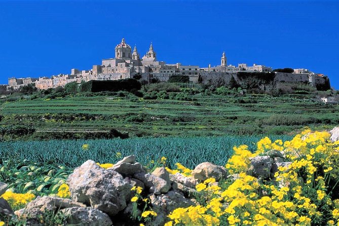 Mdina, Dingli cliffs and San Anton Gardens guided tour - Who will get the most from this tour