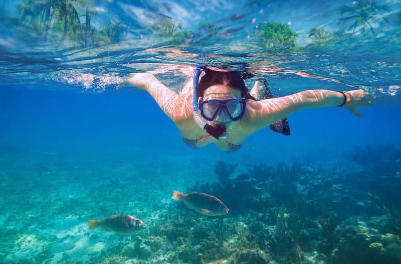 Mellieha: Round Comino, Blue Lagoon & Gozo Cruise with Water - Crystal Lagoon and the Water Slide