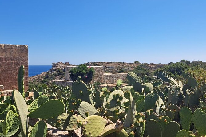 North Malta Quad Bike Tour with Land or Sea Views and Swimming - What riding a shared quad is really like