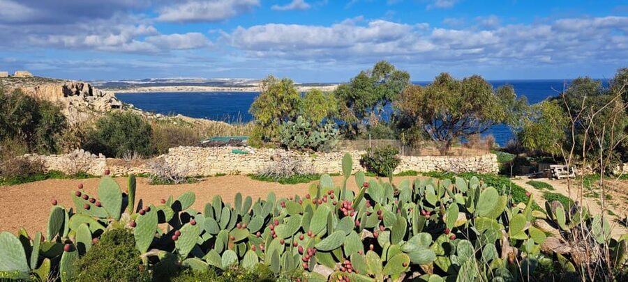 North Malta: Quad Bike Tour with Scenic Land, Sea & Swimming - Who should book this quad tour?