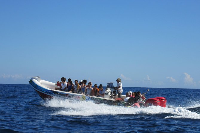 Okikoki Banis - Comino Blue Lagoon Speedboat Trip- Fast Ferry - Key points to know before you book