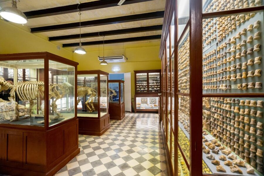 Prehistoric Temples of Malta Tour - Hamrija Tower and the later history of Malta