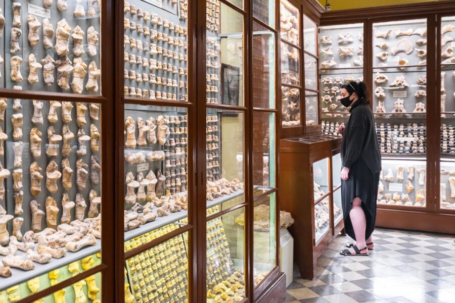 Prehistoric Temples of Malta Tour - What the guide adds to the experience