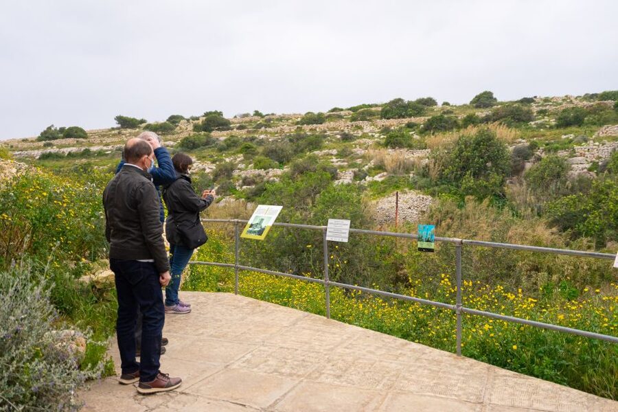 Prehistoric Temples of Malta Tour - Transport, pickup, and the shape of the morning