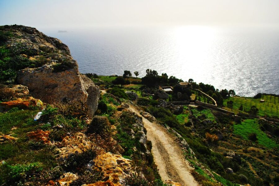 Scenic Tour by Vintage Bus to Buskett Garden & Dingli Cliffs - Why the vintage bus changes the mood