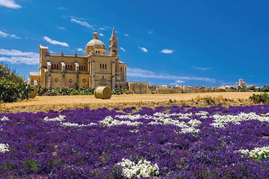 Sliema or St. Paul's Bay: Best of Gozo and Comino Day Trip - The new Blue Lagoon access pass