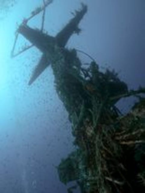 St Julians: Discover Scuba Diving Experience - The first 30 minutes: safety before scenery