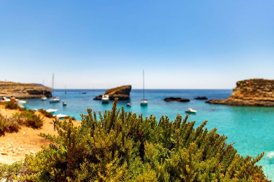 St Paul's Bay: Comino, Blue Lagoon, Gozo, & Caves Boat Tour - What the $34 price really gives you