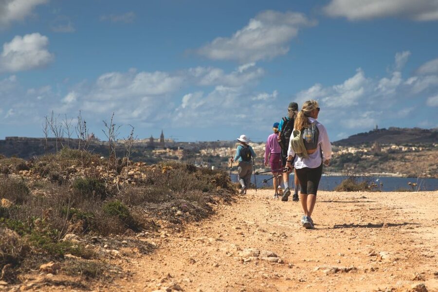 St. Paul's Bay: Gozo, Comino & St. Paul's Bus & Boat Tour - What the $40 fare really covers
