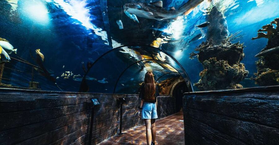 St Paul's Bay: Malta National Aquarium Entry Ticket - Key points to know before you go