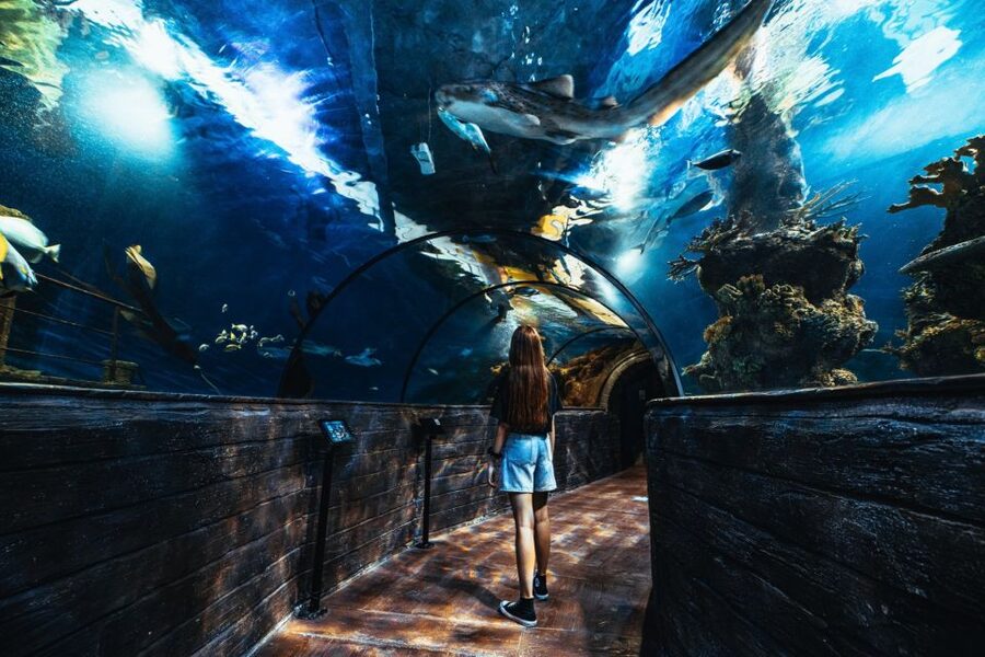 St Paul's Bay: Malta National Aquarium Entry Ticket - Jellyfish, amphibians, reptiles, and insects